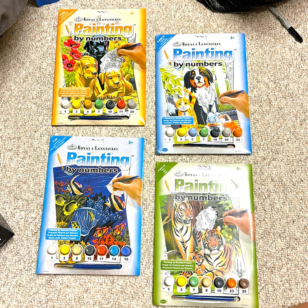 Paint by Numbers 4 Set